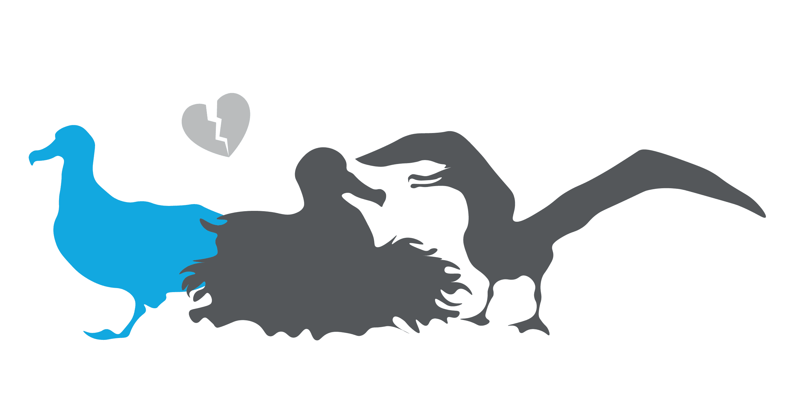 Forced divorce, which is something wandering albatrosses experience, is when a male intruder steals a female away from her timid male partner (blue).