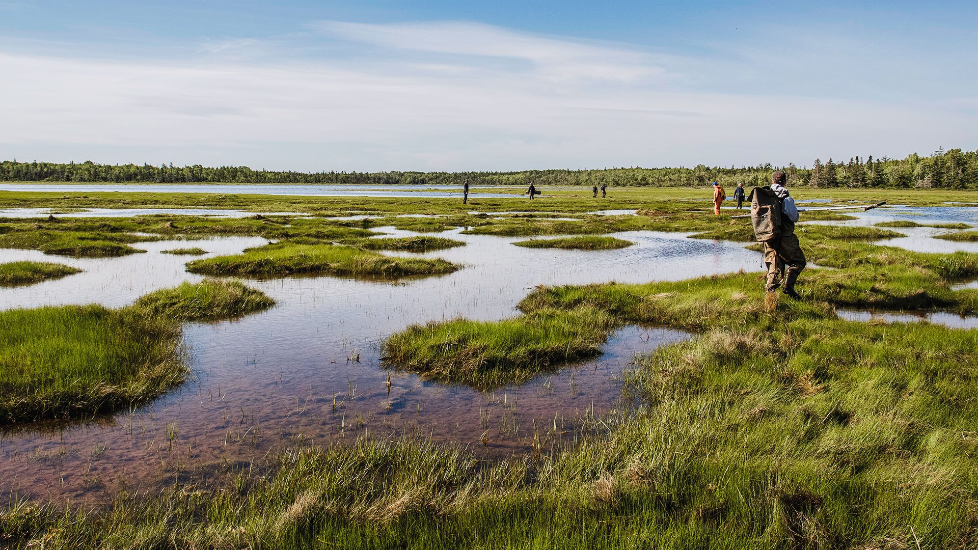 Scientists arriving at a marsh