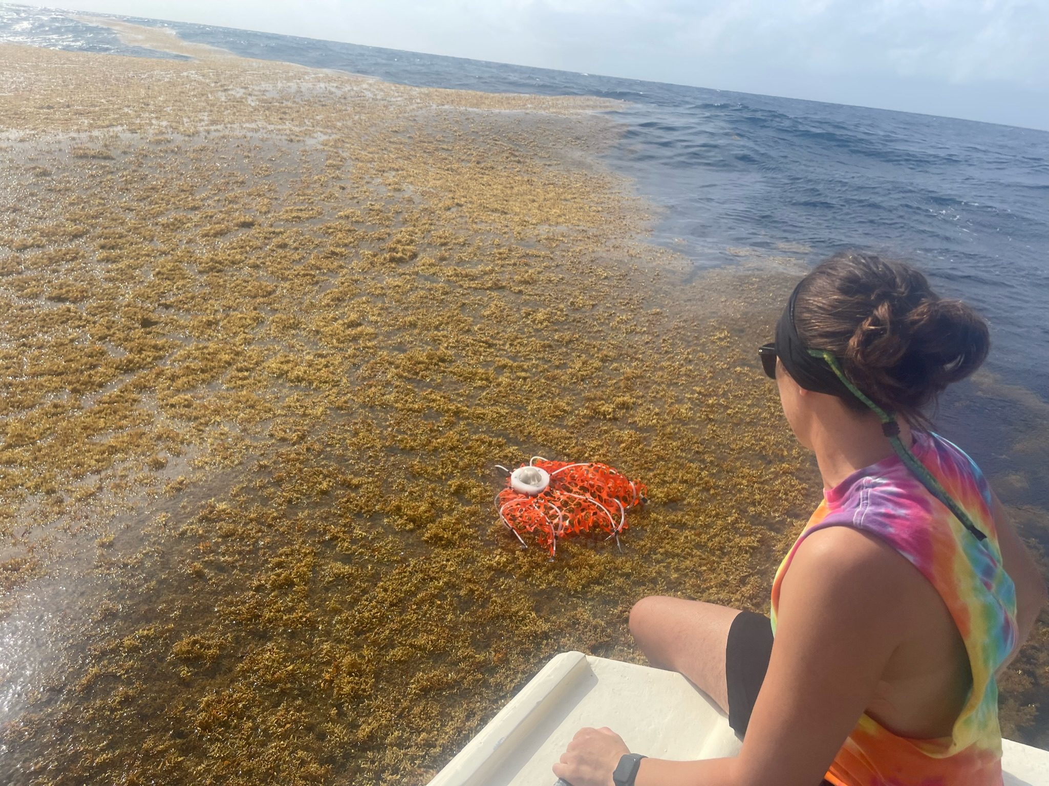 Pixa watches the GPS-equipped drifter float at the surface on a patch of sargassum in the Caribbean Sea. (Photo courtesy of Chase Pixa, © Woods Hole Oceanographic Institution)