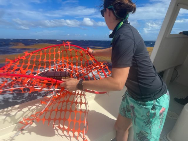Pixa prepares to launch a sargassum drifter in the Caribbean Sea off of Puerto Rico. (Photo courtesy of Chase Pixa, © Woods Hole Oceanographic Institution)