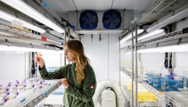 MIT-WHOI PhD student Evie Fachon arranges <em>Alexandrium</em> cultures in the incubator in the Anderson Lab at WHOI to analyze their toxicity levels. (Photo by Daniel Hentz, © Woods Hole Oceanographic Institution)