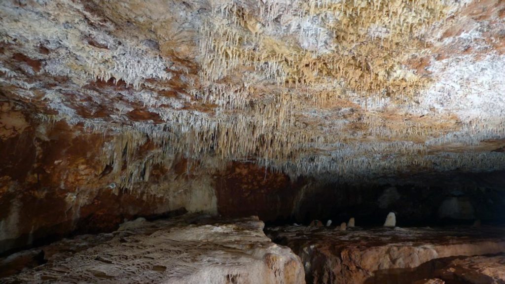 Cape Range cave in Northwestern Australia.  Changes in the isotopic composition of the stalagmites in Cape Range and the Kimberley region in northern Australia reflect rainfall over Australia from tropical cyclones and the monsoon. (Photo by Darren Brooks /Australian Speleological Federation, Perth, Australia)