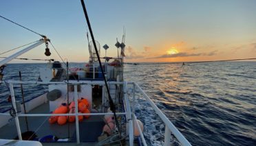 Sunrise view from the deck of F/V Monica, a commercial longliner that Ocean Twilight Zone project scientists used to study large marine predators as part of a multi-vessel research cruise in August 2022. (Photo by Camrin Braun, © Woods Hole Oceanographic Institution)
