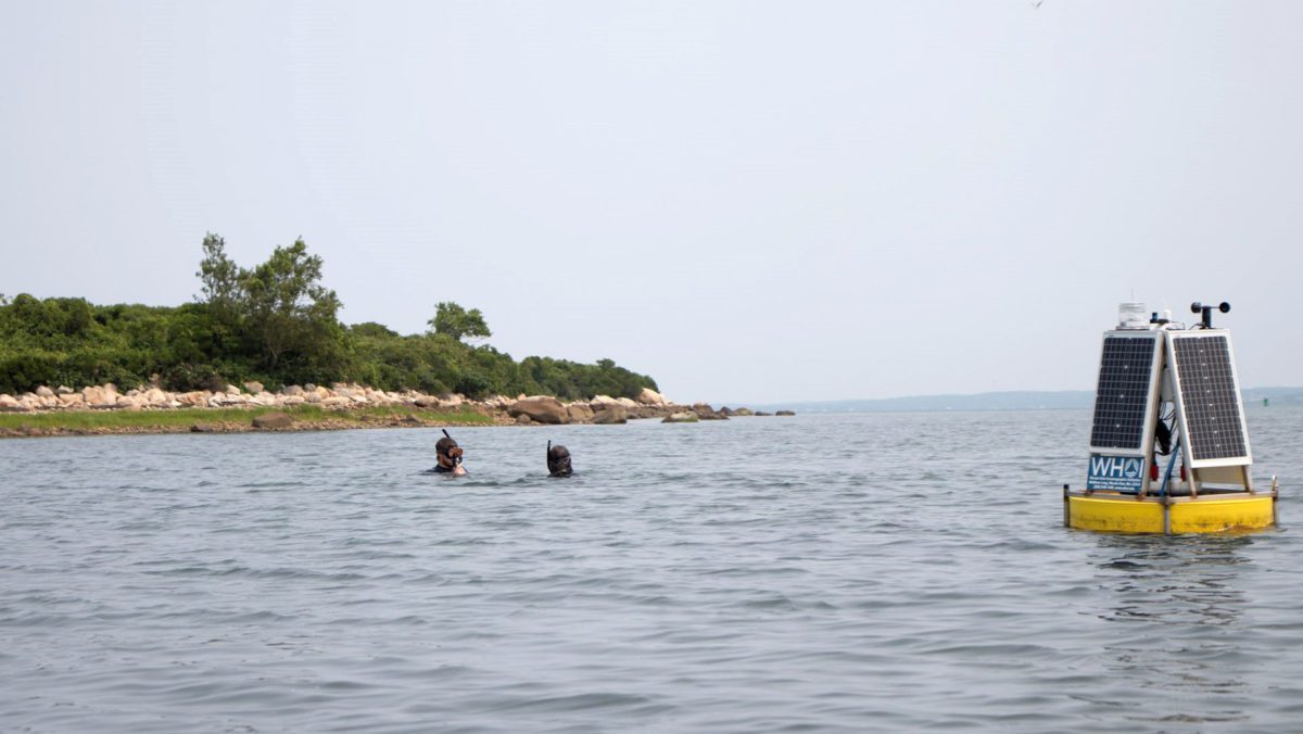 WHOI’s Matt Long and Jeff Coogan dive to check the status of underwater instruments near an eelgrass meadow,