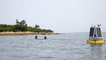 WHOI’s Matt Long and Jeff Coogan dive to check the status of underwater instruments near an eelgrass meadow,