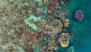 geonadir-eQZAqg-4sQQ-unsplash