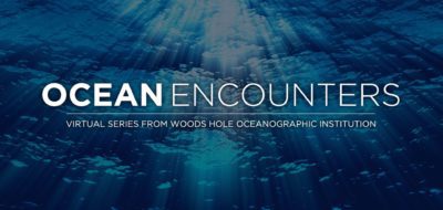 ocean encounters