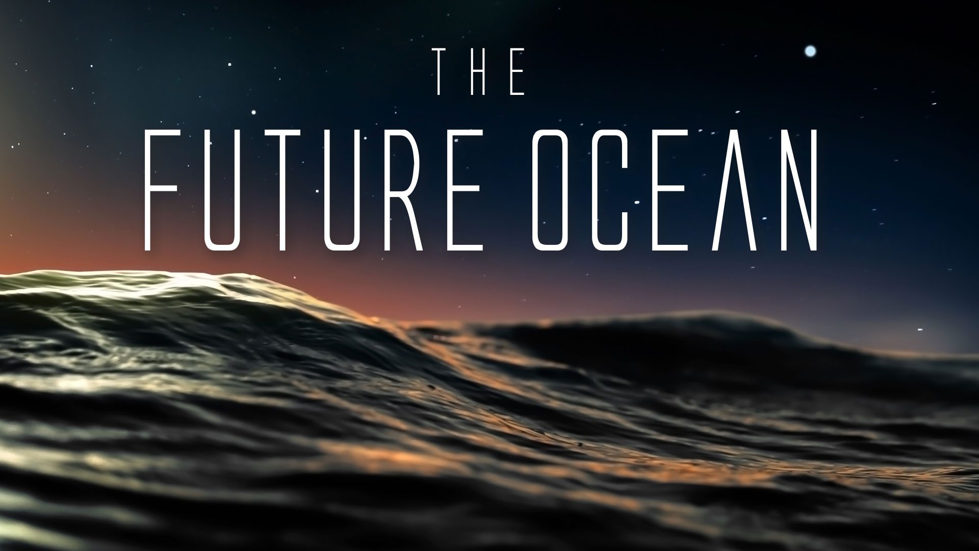 The Future Ocean