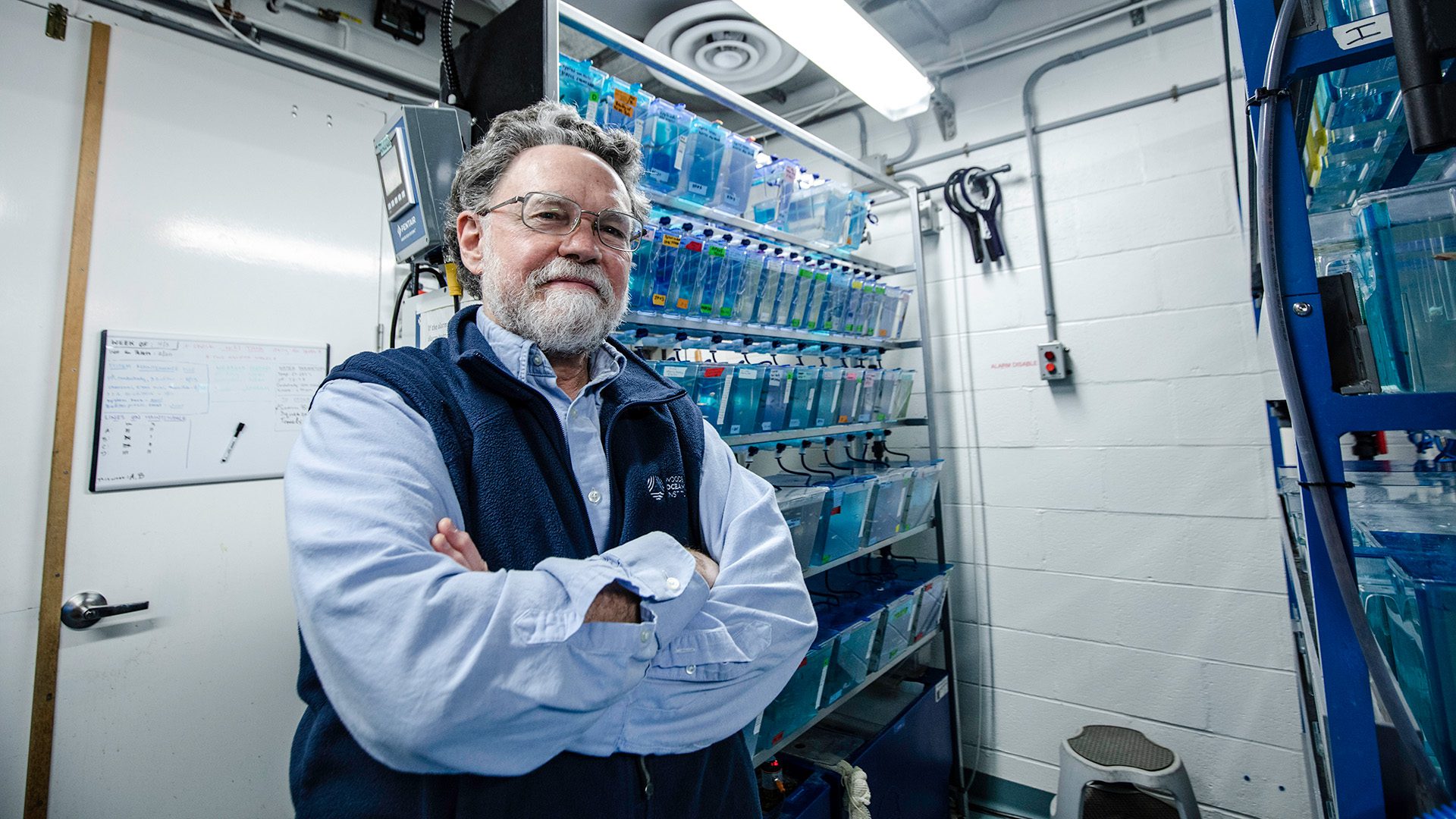 This spring, senior scientist Dr. Mark Hahn joined fellow WHOI researchers and international collaborators to develop a report on ocean plastics aimed for the health and medical community. (Photo by Daniel Hentz, © Woods Hole Oceanographic Institution)
