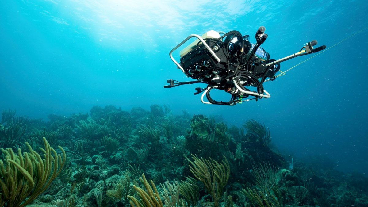 CUREE is an autonomous underwater vehicle