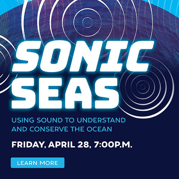 Sonic-Seas_PopUp