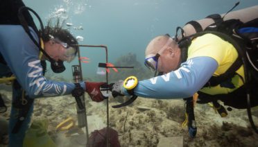 MIT-WHOI Joint Program student Nadège Aoki (left) and WHOI biologist Aran Mooney placing cups of larvae at the reef site in the U.S. Virgin Islands. (Photo by Dan Mele, © Woods Hole Oceanographic Institution)