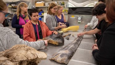 The Perkins School for the Blind students spent the day at WHOI, engaging in STEM learning through sound and touch.