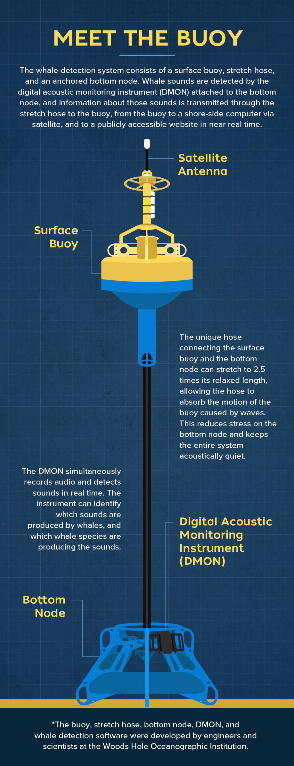 buoy infographic