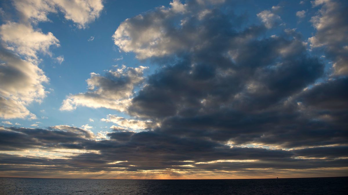 How are seashells made? - Woods Hole Oceanographic Institution