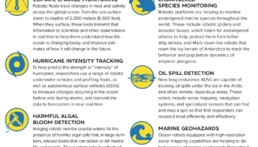 danger Will Robinson