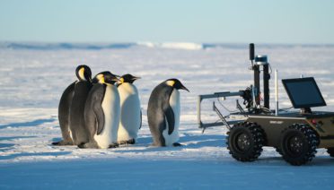emperor penguins and ECHO