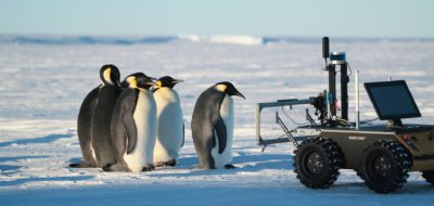 emperor penguins and ECHO