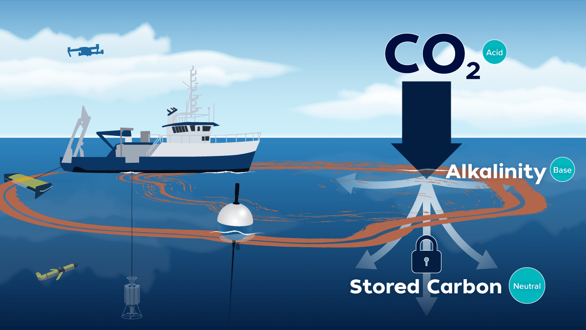 Carbon Dioxide  Center for Science Education