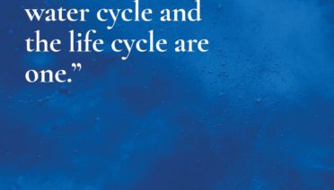 Jacques Yves Cousteau Quote