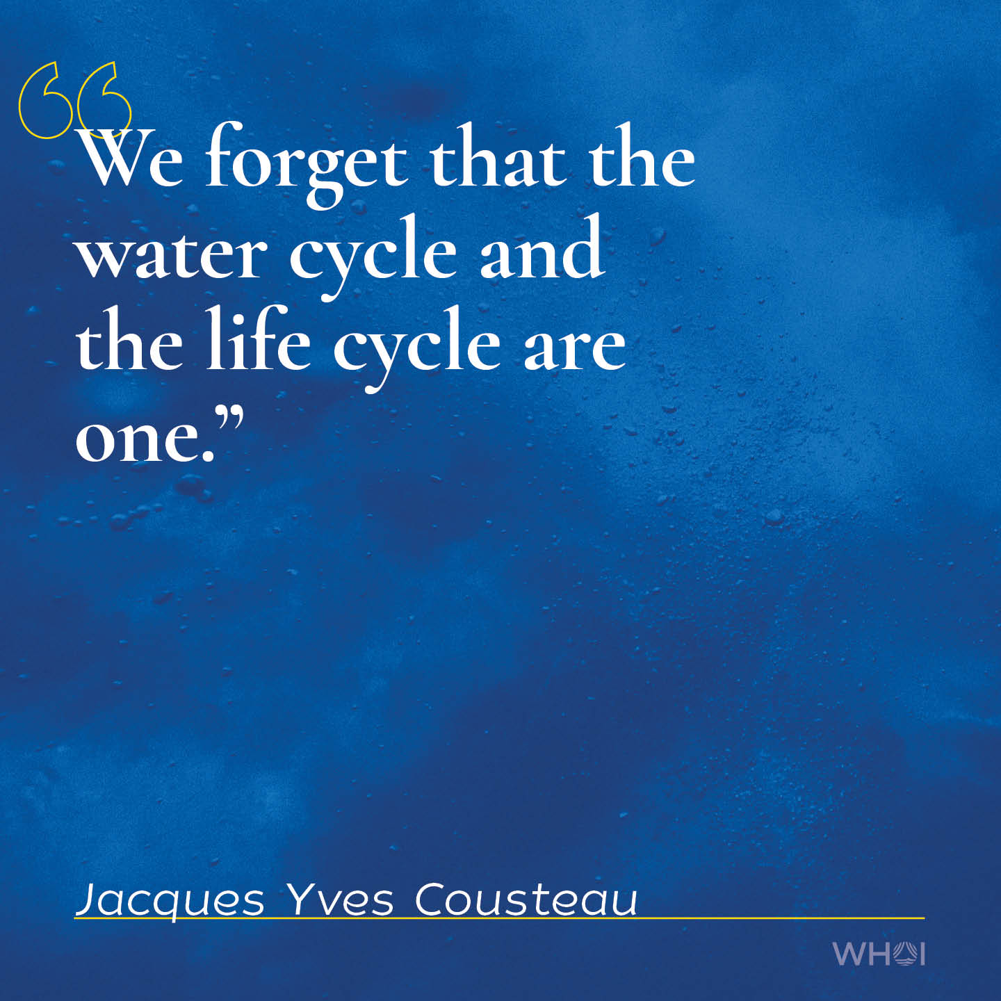 Jacques Yves Cousteau Quote