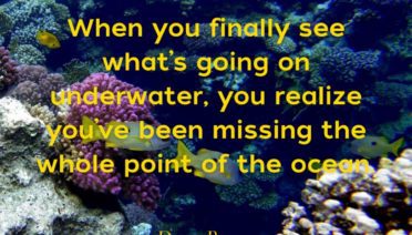 Dave Barry Quote