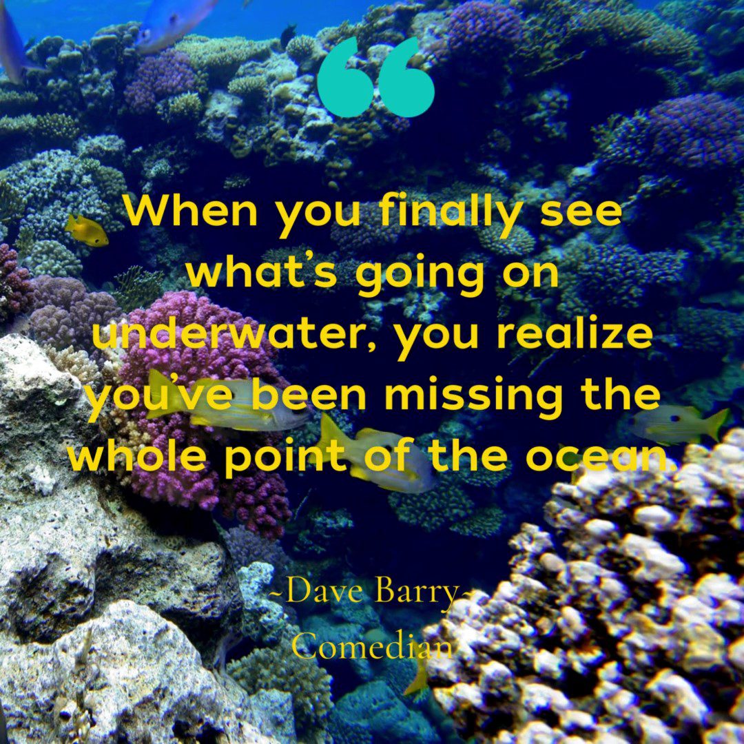 Dave Barry Quote