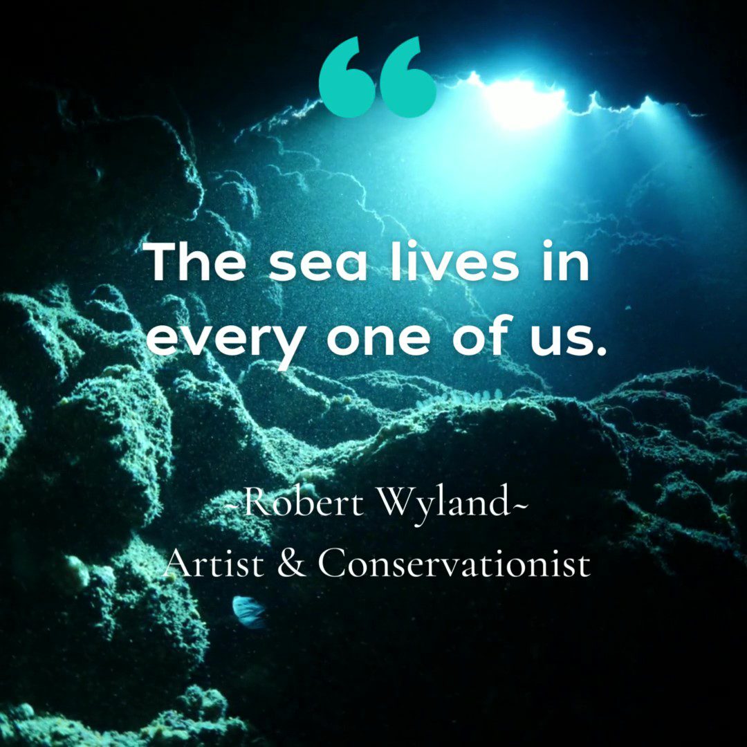 Robert Wyland Quote