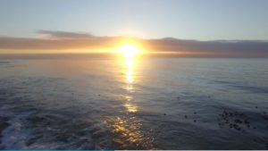 sunrise argo