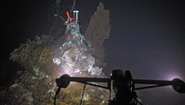 El Gordo hydrothermal chimney