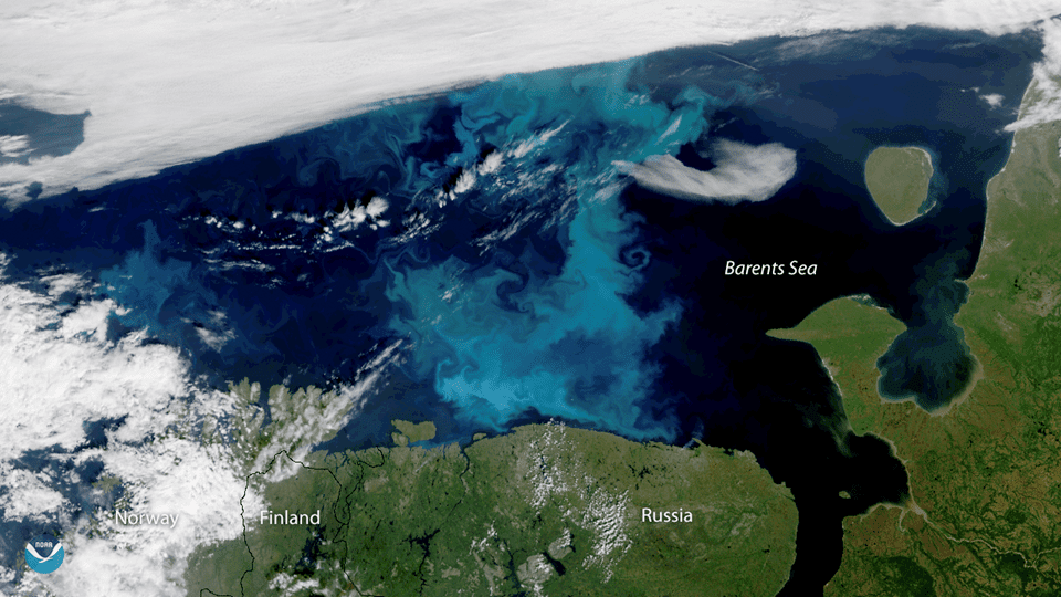 Ocean iron fertilization as a possible path to carbon dioxide removal, but scientists must identify potential unintended ecological consequences, and determine the necessary systems for monitoring carbon and ecosystem changes. Iron fertilization adds this limiting nutrient to promote phytoplankton blooms as a way to take up carbon dioxide and store carbon when they sink. (Photo: Phytoplankton bloom. Credit: NOAA)