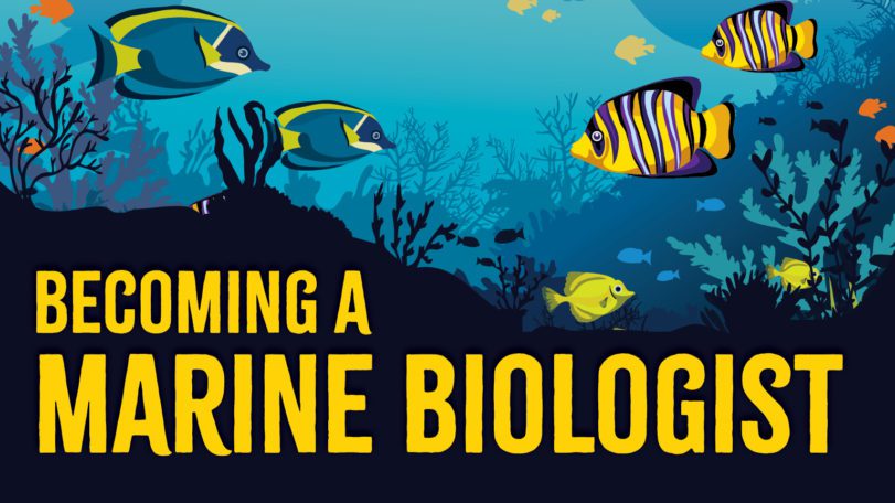 Becoming a Marine Biologist