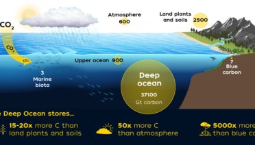 Earth carbon reservoirs