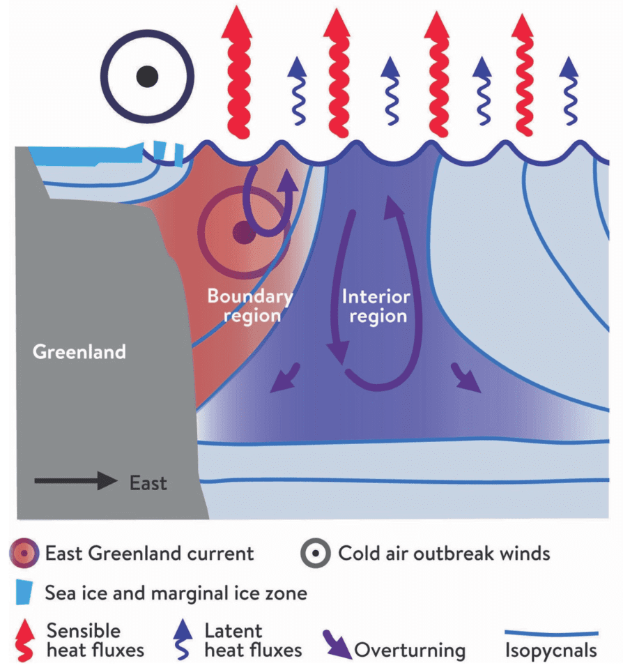 coupled atmosphere-ocean observations of a cold-air outbreak and its impact on the Iceland Sea