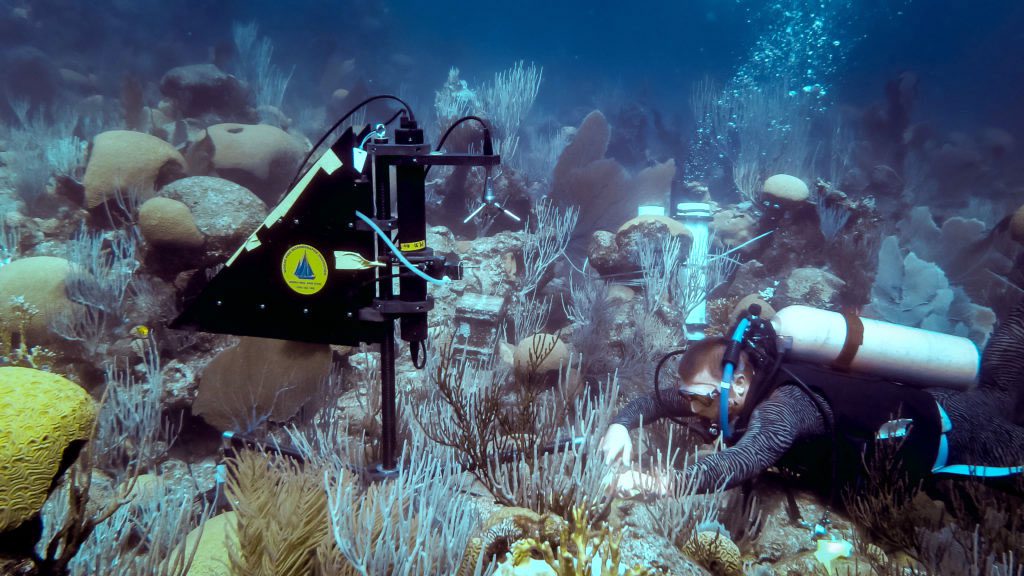 underwater diver and instrument