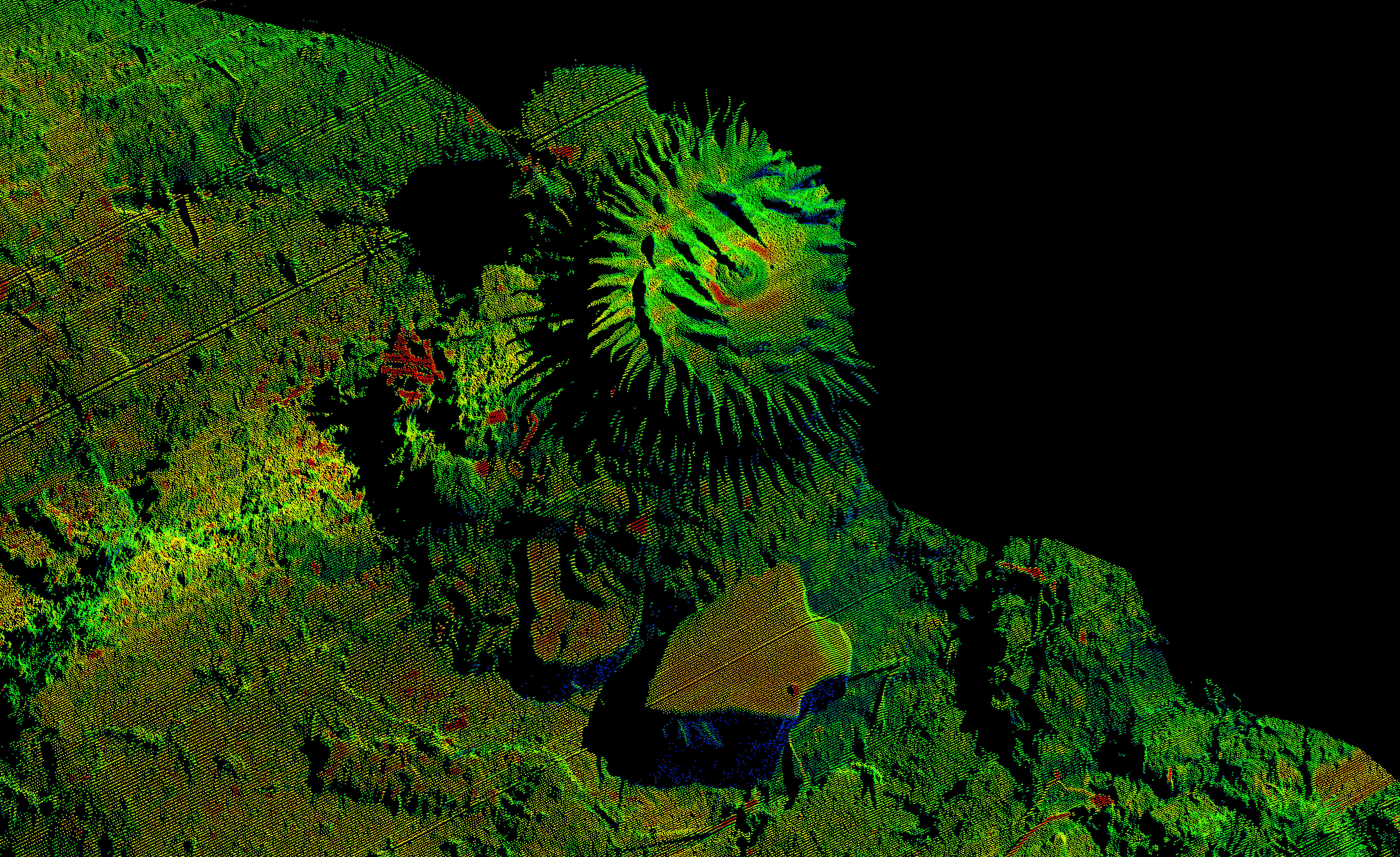 Laser scan of a section of coral reef in the Galápagos. (Image courtesy of Schmidt Ocean Institute)
