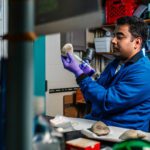 WHOI virologist Arun Venugopalan extracts blood samples from clams