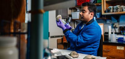 WHOI virologist Arun Venugopalan extracts blood samples from clams