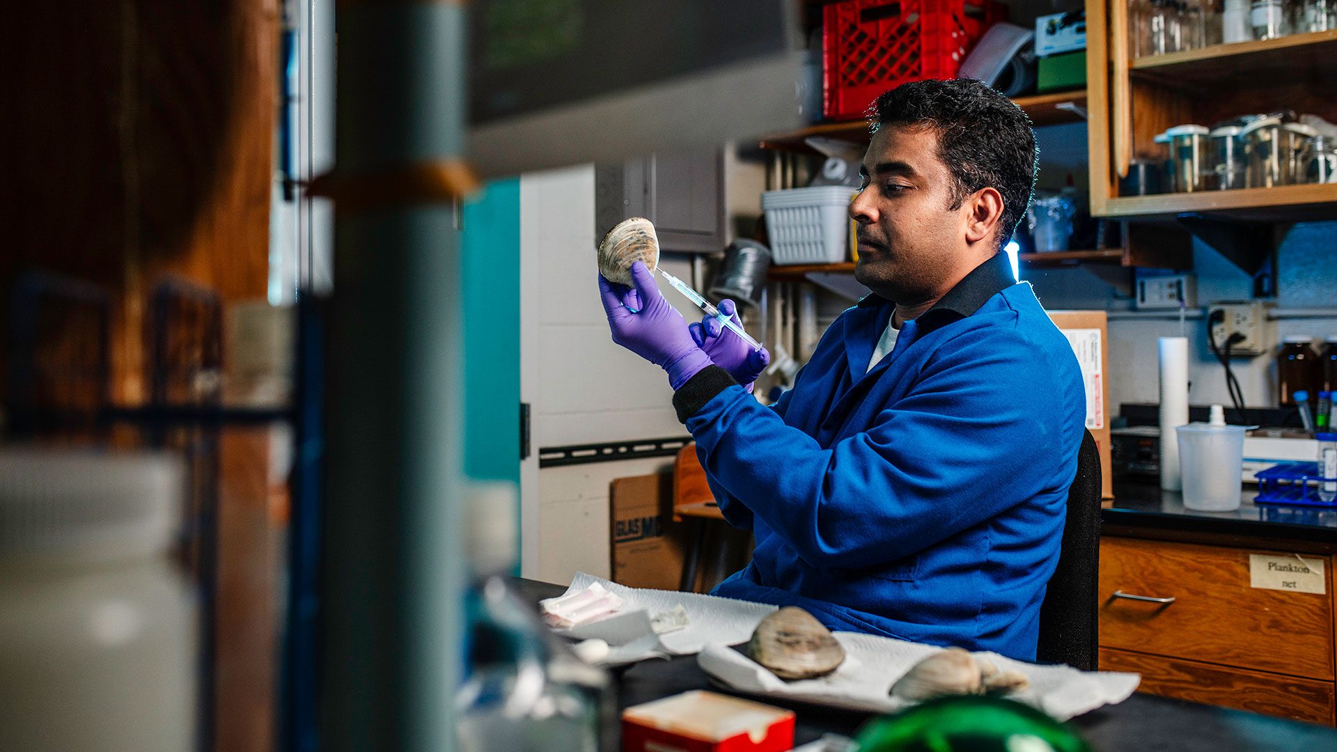 WHOI virologist Arun Venugopalan extracts blood samples from clams