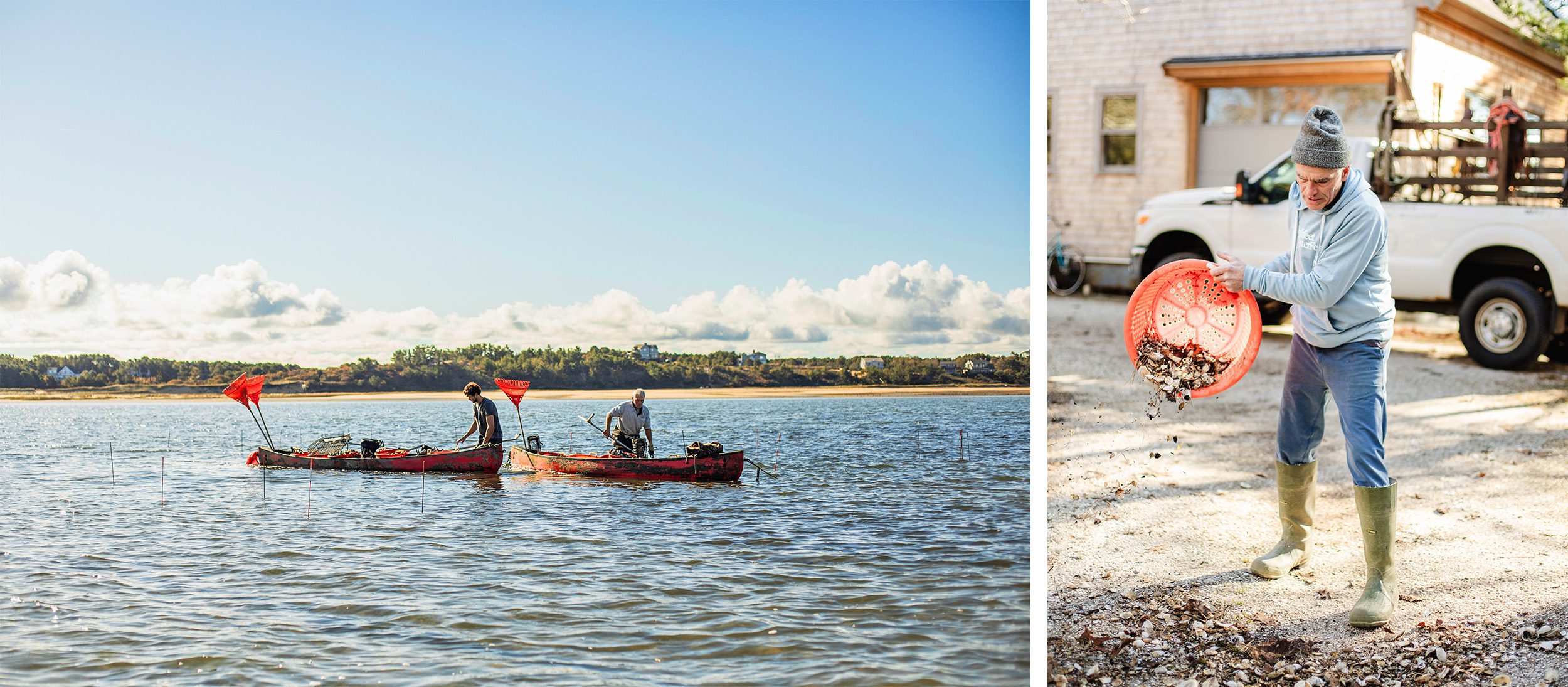 (Left) Jim O'Connell and his nephew James harvest clams on their farm in Wellfleet. (Right) O'Connell distributes clam shells from across his driveway. (Photo by Daniel Hentz, © Woods Hole Oceanographic Institution)