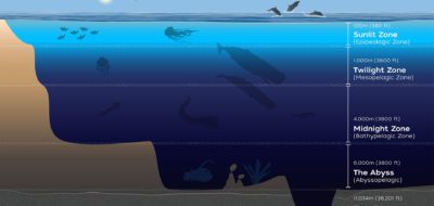 ocean zones