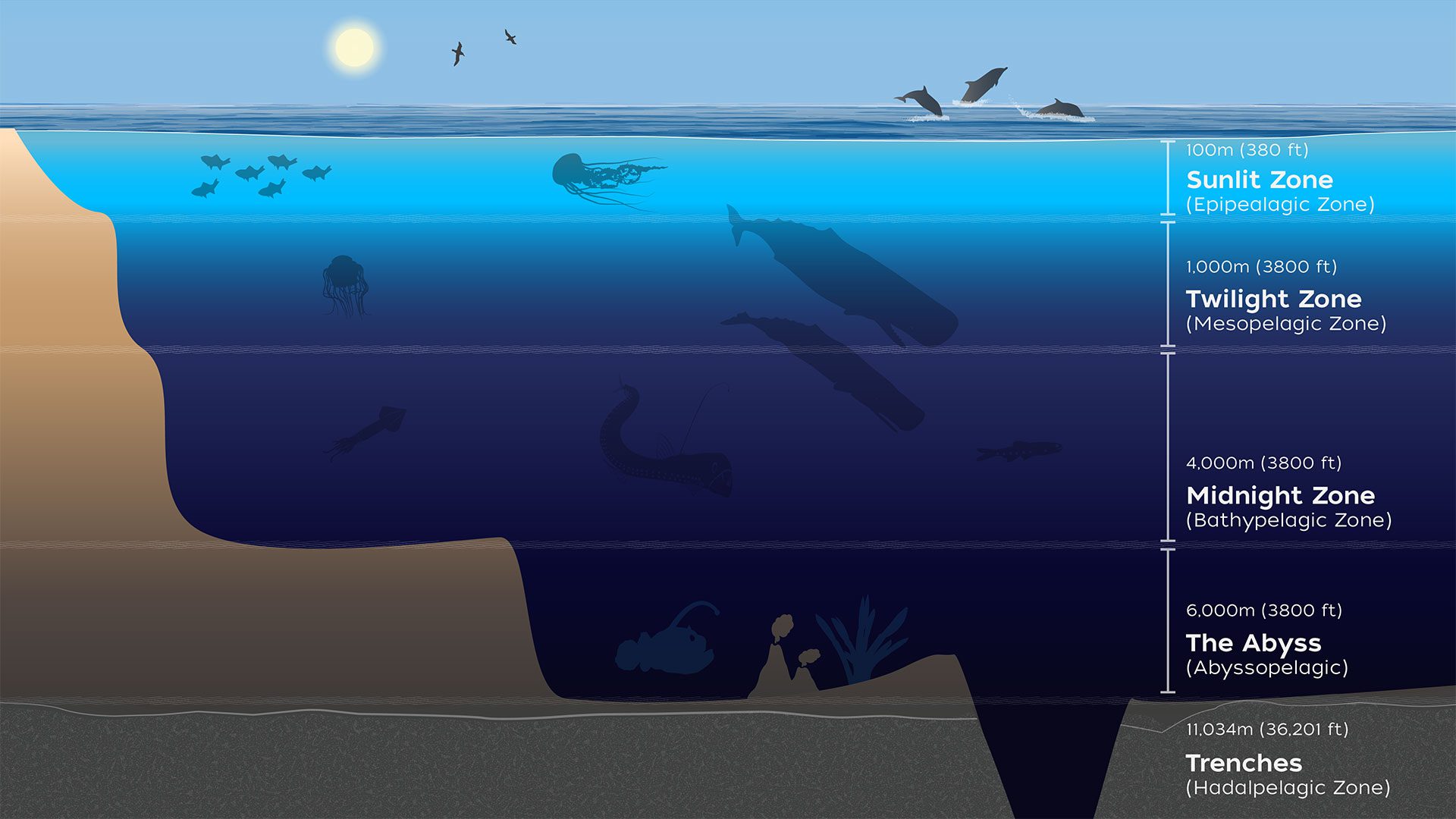 ocean zones