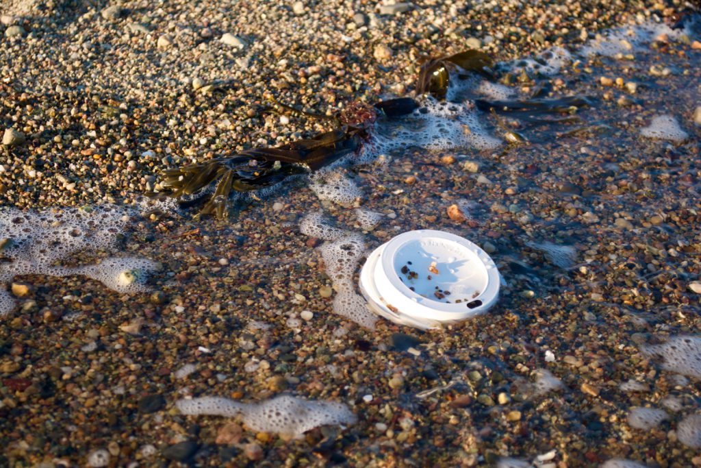 Cup lid in the ocean