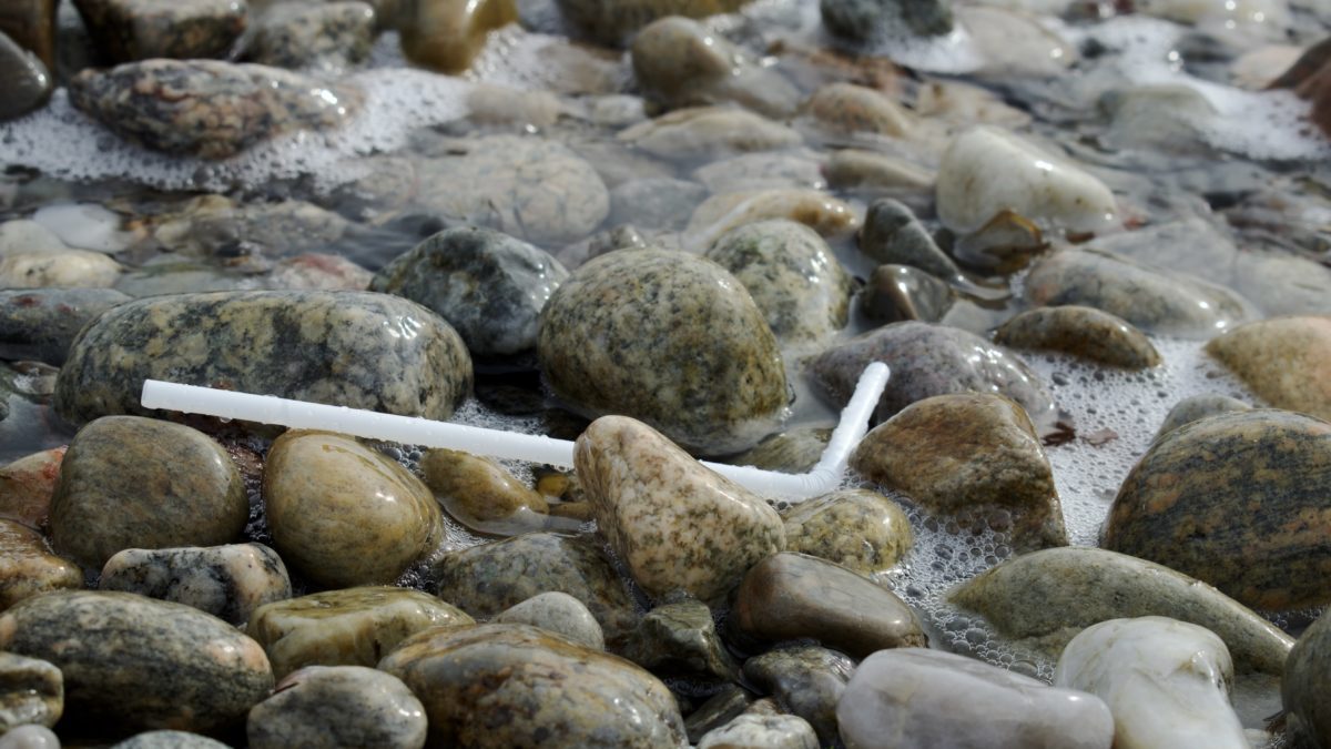 A straw in the ocean