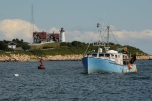 Boat on the water