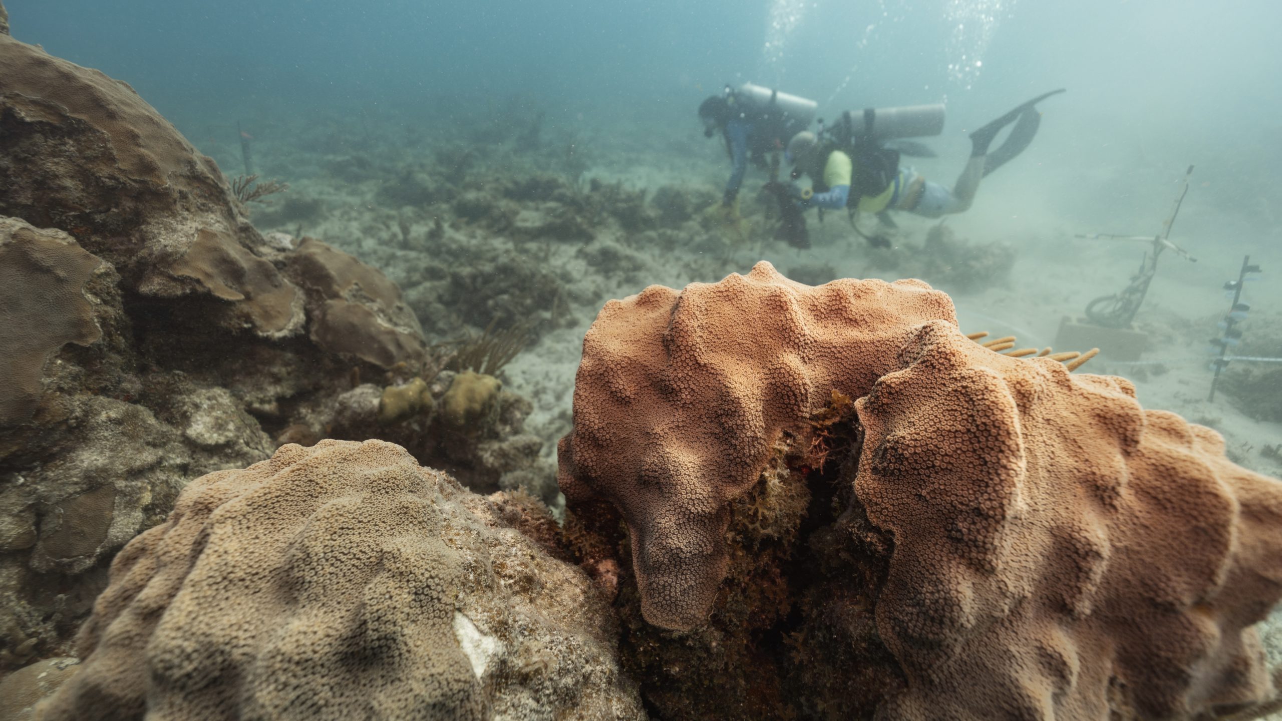 Research Highlights - Woods Hole Oceanographic Institution