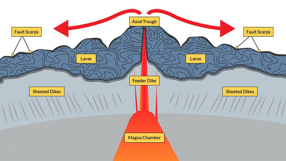 fast spreading ridges