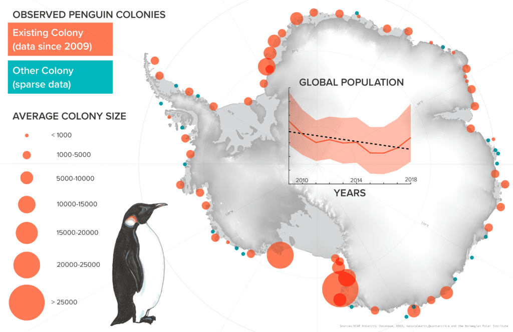 Penguin Graphic