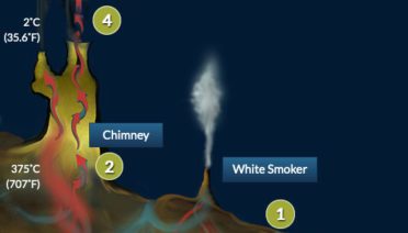 vent basics