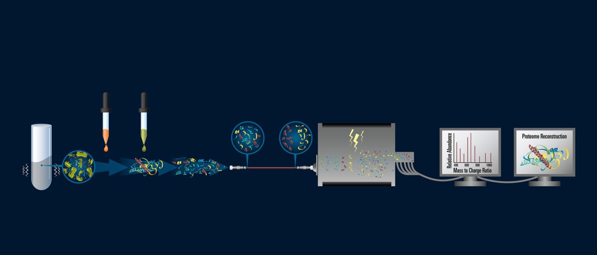 Use Mass Spec to compare and contrast the compounds produced by different phytoplankton